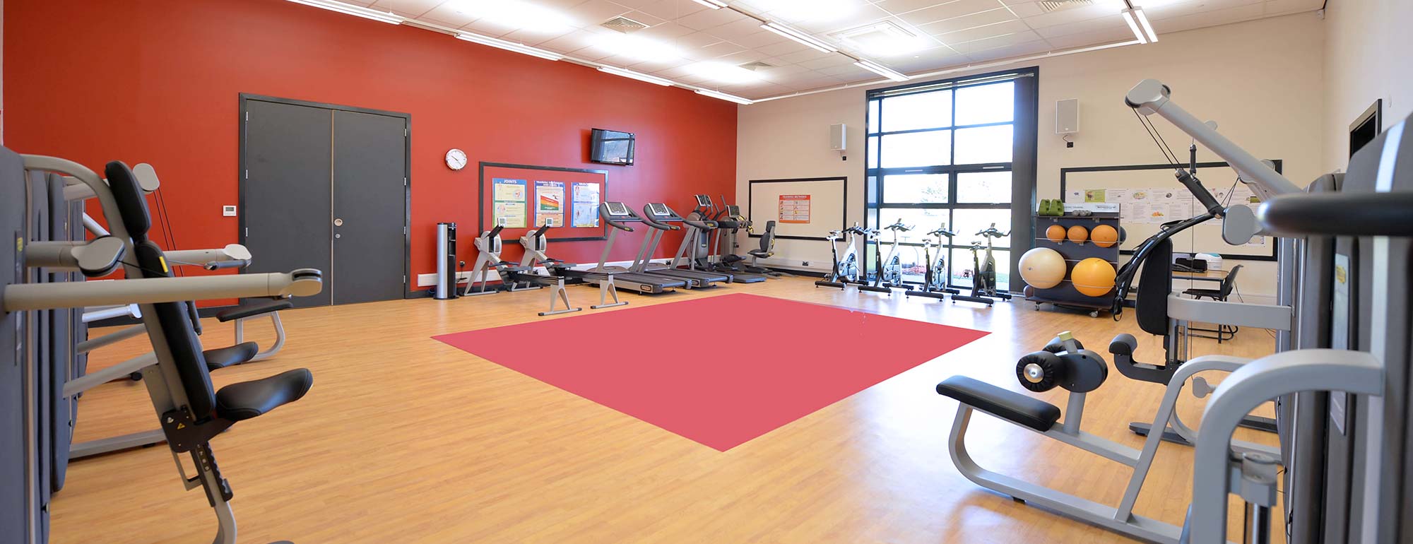 Gymnasium